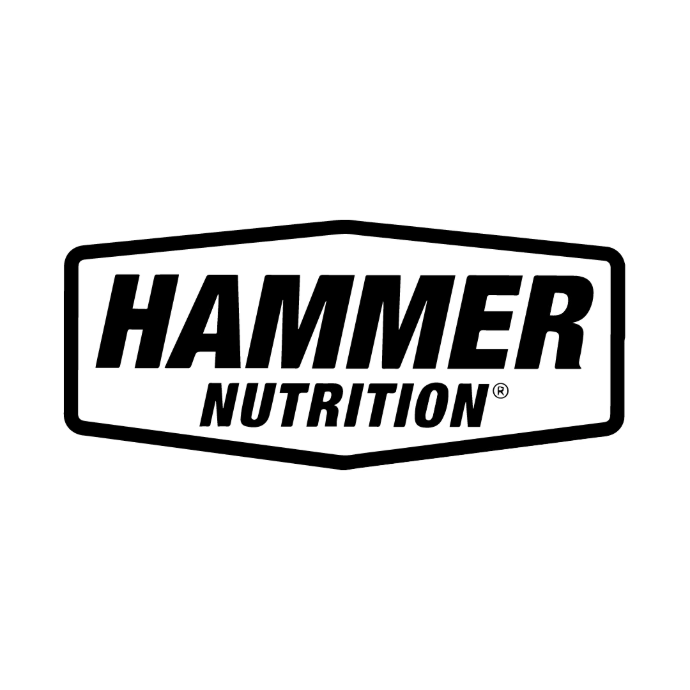 LOGO-HAMMER